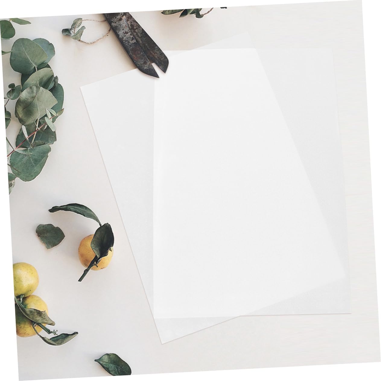 Lurrose 12sheets Printable Shrinkable Plastic Film Sheets for Diy Crafts Heat Shrink Sheets for Card Making and Decorations Printer-compatible Versatile Craft Supply