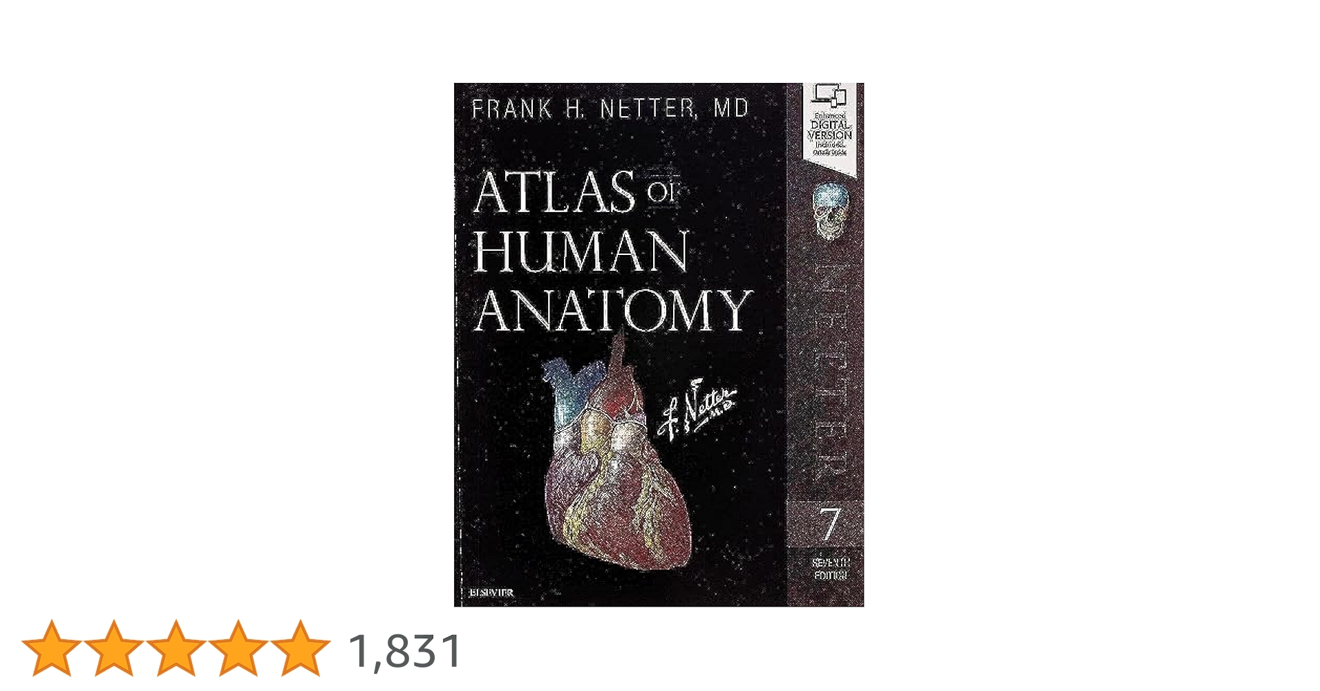 Amazon | Atlas of Human Anatomy (Netter Basic Science