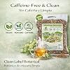 Tila Seca Herbal Tea (4 oz) 100% Natural Linden Flowers & Leaves (Ternstroemia lineata) Traditional Relaxation & Nightly Comfort Wildcrafted Loose Leaf Caffeine-Free, Vegan, Non-GMO Authentic by BEXPERTSUSA