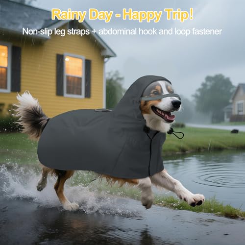 Veste de pluie pour caniche bichon imperméable sans manches