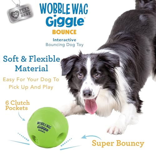 Image of Wobble Wag Giggle Bounce Interactive Dog Toy- Sound Making Bouncing Ball for Dogs Ages Indoor & Outdoor Play, Soft & Durable with Easy Grip Design- Pets Know Best