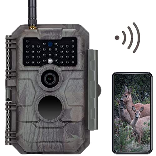 The Best Trail Camera Best Cost