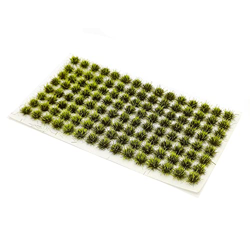 QUARKZMAN Erba Statica, Polvere di Erba Artificiale in Nylon 5mm 2 x 30g Erba Finta per Modellismo Paesaggistico Ferroviario, Giardino delle Fate, Inverno Verde, Confezione da 2