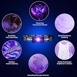 COSOOS-2IN1-UV-Headlamp-Flashlight-Black-Light-Rechargeable-LED-Hand-Free-Blacklight-395nm-Mini-Headlight-with-White-Ultraviolet-Light-Detector-for-Pet-Dog-Cat-Urine-StainBed-BugScorpions-Finder - Cucciolini Doodles   COSOOS-2IN1-UV-Headlamp-Flashlight-Black-Light-Rechargeable-LED-Hand-Free-Blacklight-395nm-Mini-Headlight-with-White-Ultraviolet-Light-Detector-for-Pet-Dog-Cat-Urine-StainBed-BugScorpions-Finder