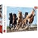 Trefl 10446, Schone, Wilde reiten, Freiheit, Liebe Tiere, Gallop, Ansicht 1000 Teile, Premium Quality, für Erwachsene und Kinder ab 12 Jahren Puzzle Die gallopierenden Pferde, Farbig