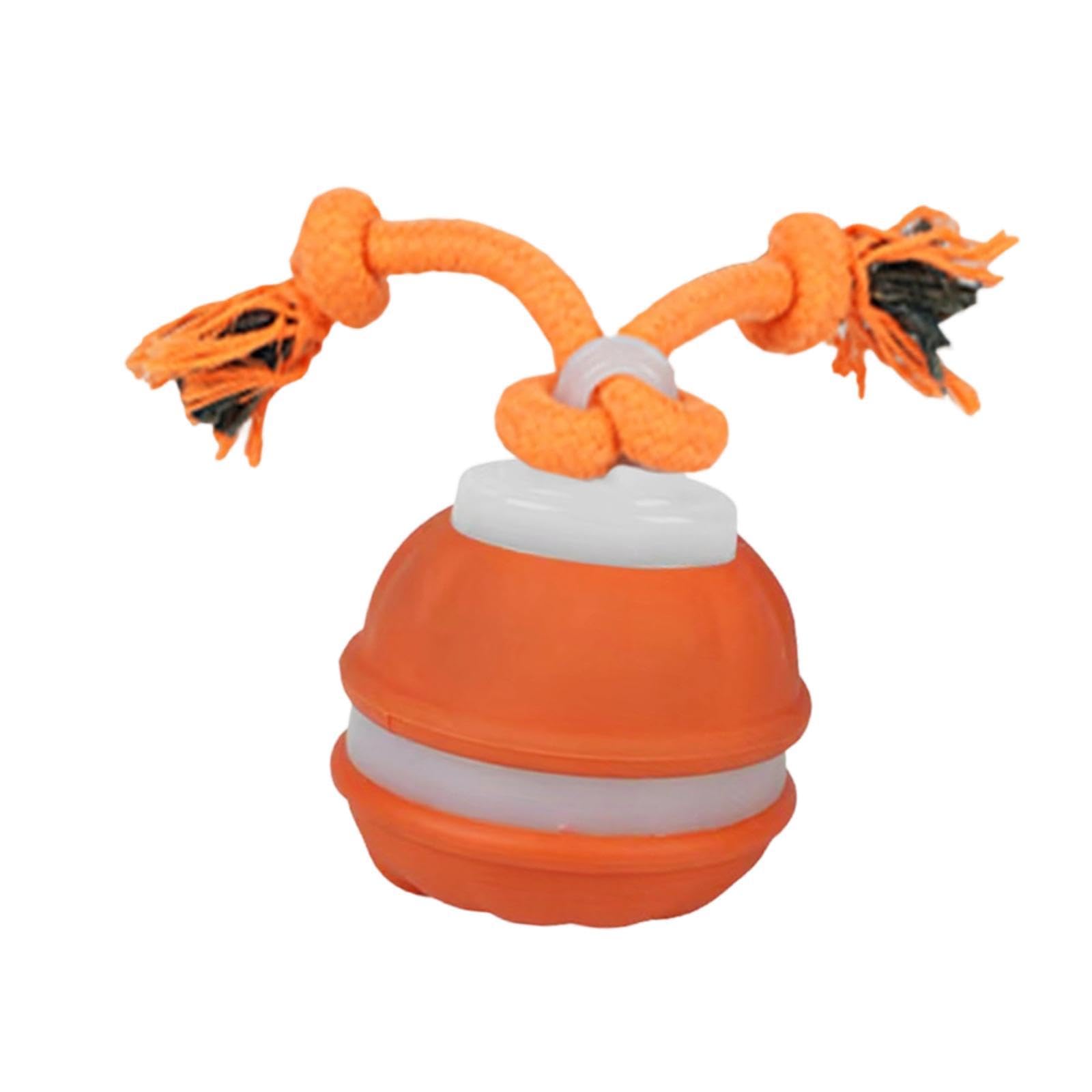Stgfyxgs Interactive Ball for Cats And Dogs with Rope, Pet Accessory, Ideal for Indoor And Outdoor Training, Orange