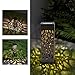 Eaxus® LED Solar Gartenleuchten für Außen - Wunderschöne Gartendeko mit Lichtmotiv. Solar Laterne, Schwarz