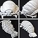 TSTADVANCE Sea Creature Giant Isopod Realistic Stuffed Plush Doll (L Size) / 30 cm