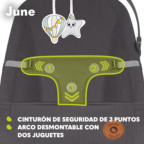Miniatura 3 de LIONELO June hamaca de bebé, movimiento natural del balanceo, desde los primeros días de vida hasta los 9 kg, ligera, estable, antideslizante, cinturones de seguridad, hamaca plegable para bebes | De Bebé, Movimiento Natural del Balanceo, desde los Primeros Días de Vida hasta los 9 kg, Ligera, Estable, Antideslizante