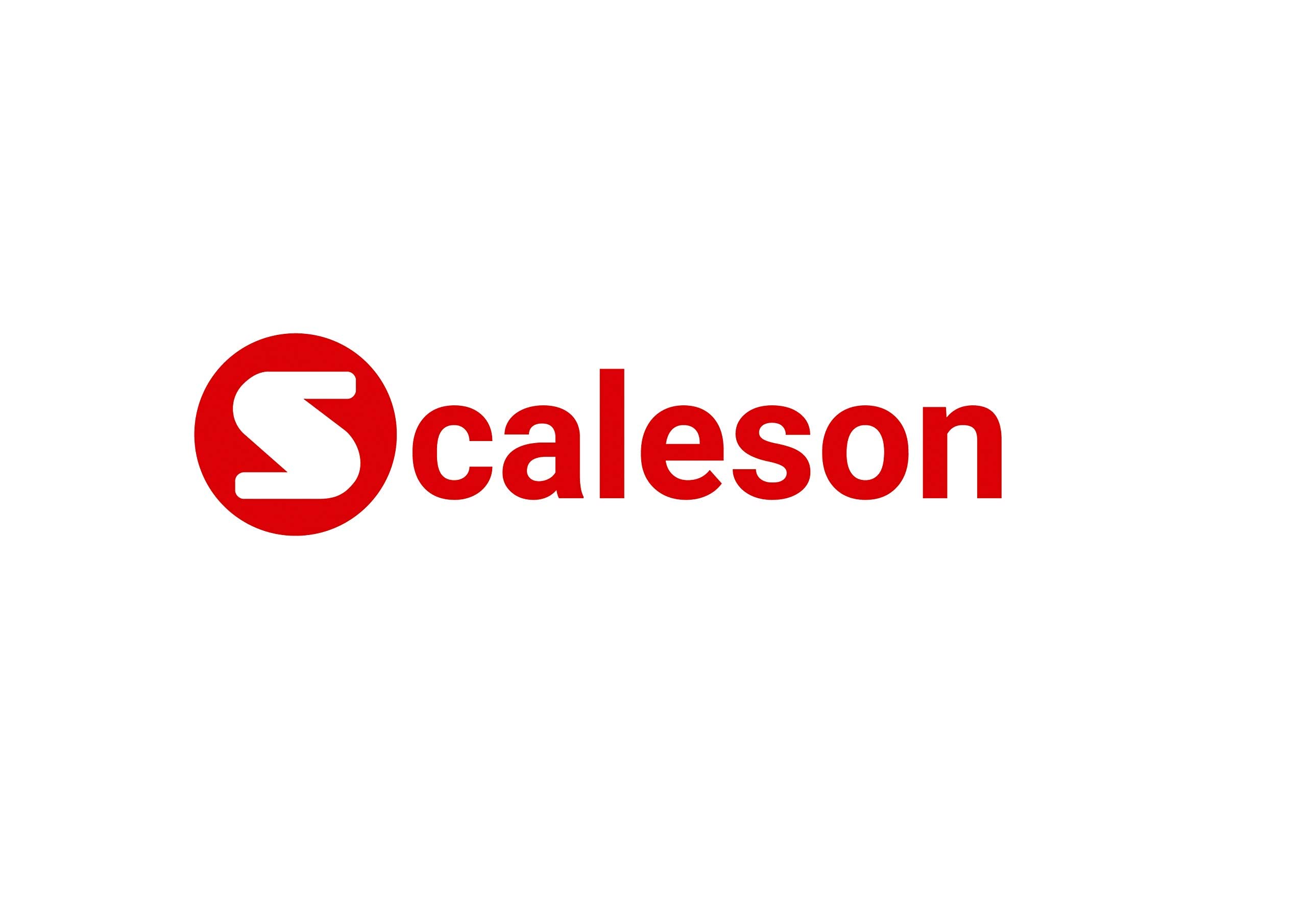 SCALESON S160 Bilancia compatta da tavolo 5 kg 1 g