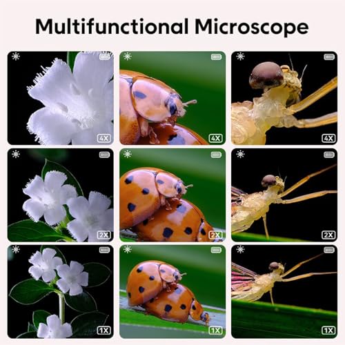 Image of Mini Pocket Microscope Handheld USB Portable Digital Microscope for Kids Science Education and Outdoor Exploration Purple Version