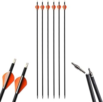 弓道具一式 Amazon.co.jp: ZSHJGJR アーチェリー 弓 リカーブボウセット 30～50