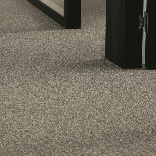 andiamo Teppichboden Meterware Joe - Auslegware Bodenbelag zuschneidbar und einfach zu verlegen - Teppichbelag aus Polypropylen 6mm Gesamthöhe Anthrazit 400 x 300 cm