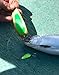 Montana Tackle Kokanee Dodger: Flo Green/Brass