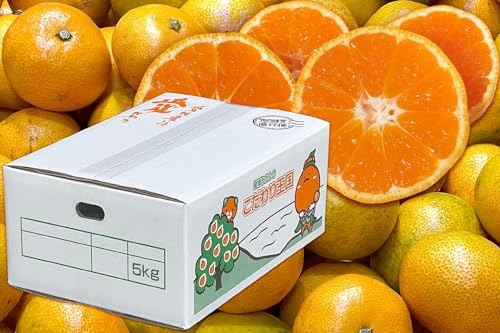 y Q݂ 艤 z 󂠂 Q ݂ TCY 5kg QY B  5L