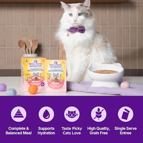Image of Wellness Appetizing Entrees Age Advantage Mousse Senior Wet Cat Food, Natural, Protein Rich, Grain Free, Tuna, Salmon, Cod, and Sardine Recipe, 1.4 oz, Pack of 8 Pouches