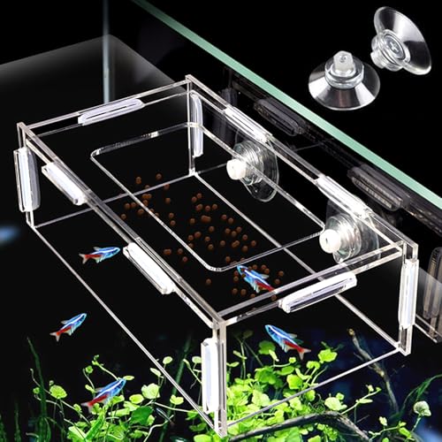 アクリル魚給餌ボックスリング,吸引カップ付きフローティング水族館の食品フィーダー,水槽給餌リングベタ金魚グッピー水族館のためのフローティング食品フィーダーサークル (S)