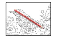 Beautiful Birds: An Adult Coloring Book with 50 Relaxing Images of Peacocks, Hummingbirds, Parrots, Flamingos, Robins, Eagles, Owls, and More! 1795360046 Book Cover