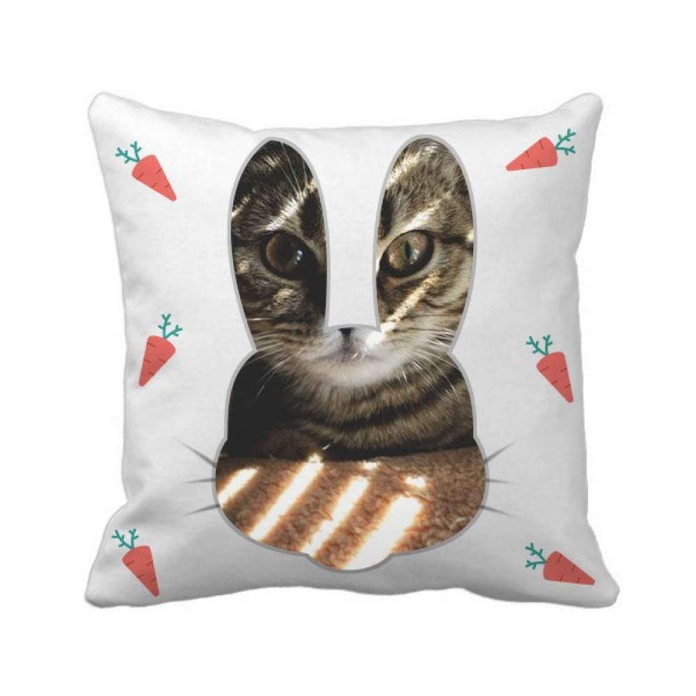 Coussin carré Chat Ray, le cadeau photo idéal pour les amoureux d'animaux