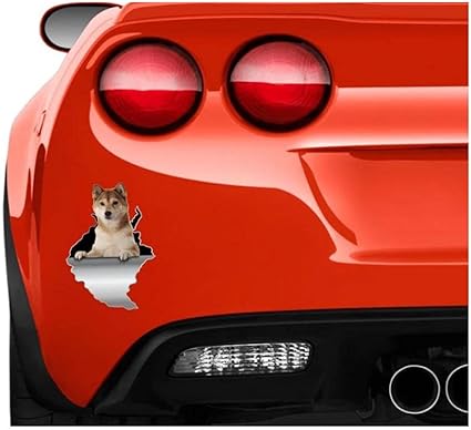 Amazon Co Jp 車用ステッカー 面白いデカール 15cm 車用ステッカー 柴犬ステッカー 犬 ステッカー ペット 車 ステッカー かわいいペット ステッカー 動物 ステッカー 犬 デカール 水 車 バイク