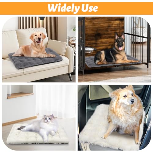 Wdmiya Selbstheizende Haustierdecke 60x45cm, Decke für Katzen & Hunde, Katzendecken Hundedecken Geräuschlos, Washbar Flauschig Selbstwärmende Thermodecke ohne Strom Kabel, Auto Haustier Decke(Grau, M)