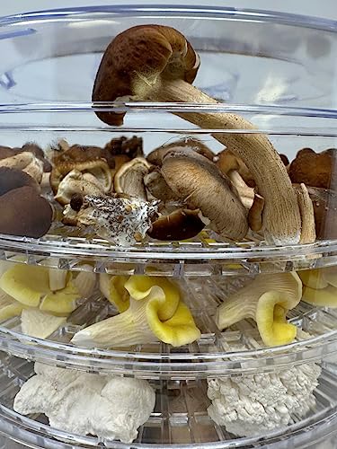 Myco Labs 350 Watt Mushroom Dehydrator with Adjustable Temperature Control and Extra Tall Trays - Thumbnail 5