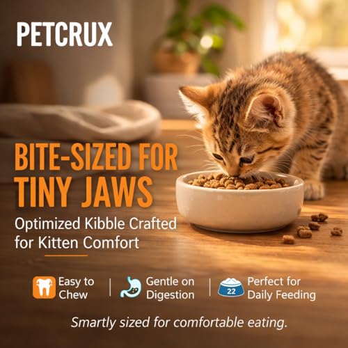 Image of Petcrux Dry Kitten Cat Food, Mackerel Fish Flavor, with Omega 3 & 6 and Taurine, Complete & Balanced Nutrition for Growing Kittens, Trial Pack 50 g