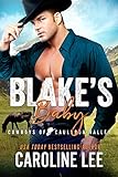 Blake's Baby (Cowboys of Cauldron Valley Book 10)