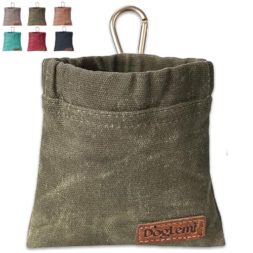 Dog Treat Bag with Carabiner (Green)