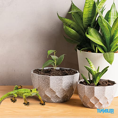 Lizard Home Decor Figurine For Desktop Decoration. Home Decor Accent For Living Room, Office, Kitchen, Bathroom Or On Any Shelf In The House… #TOP3