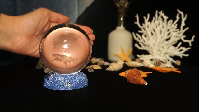 Image of Shark Night Light, 3D Crystal Ball Shark Lamp, Underwater Gifts with 16 Color Remote Upgraded 3.15 Inch Ball for Room Decor Boys Girls Birthday Xmas Cool Figurines Gifts