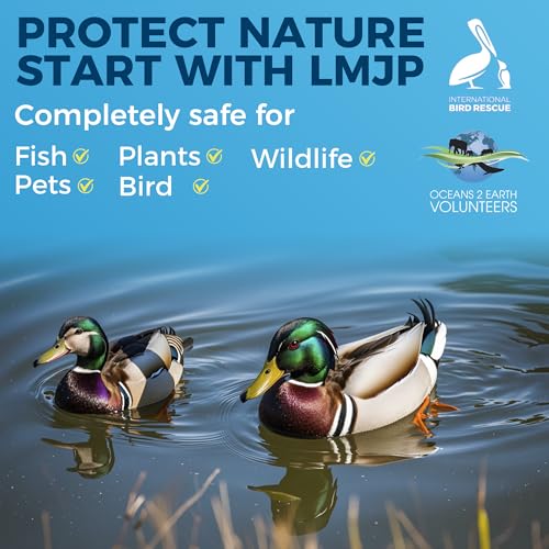 Image of LMJP Pond Clarifier Treatment - 36 Packets Natural Pond Water Clear for Outdoor Lakes - Beneficial Enzymes to Improve Water Clarity & Eliminate Odor - Treats Up to 432,000 Sq Ft