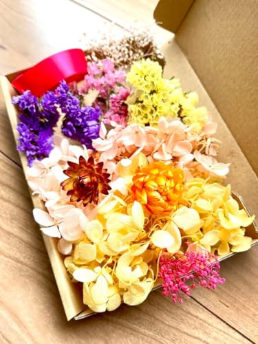 sNƃC [̎zԂ3F̃X^[`XA{A~jݑ@ԁ@ԍ