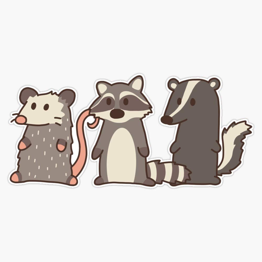 Raccoon, Opossum & Skunk Woodland Friends Sticker Outdoor Rated Vinyl Sticker Decal for Windows, Bumpers, Laptops or Crafts 5"