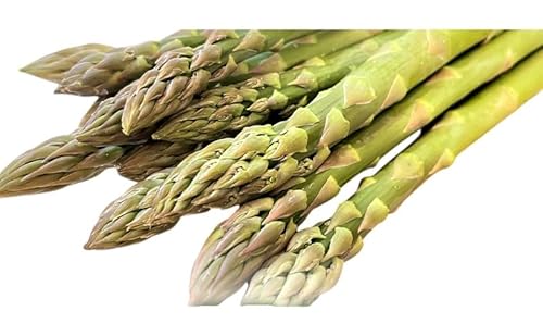 [2026年春出荷]富良野産 アスパラ 1kg L-2Lサイズ 野菜 アスパラガス グリーンアスパラ あすぱら 春野菜 北海道 (畠山農園)