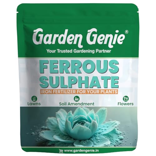 Image of Garden Genie Ferrous Sulphate Fertilizer For Plants Home Garden, 200Gm | Iron-Rich Micronutrient Supplement | Enhances Greener Leaves & Healthy Plant Growth | For Indoor & Outdoor Use,Powder