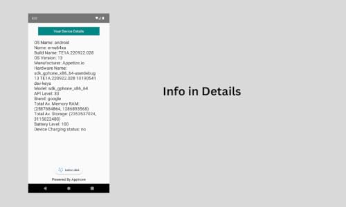 Device Info App – vue 3
