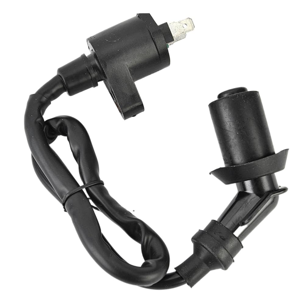 Gruppo bobina di accensione V30510CJF010 compatibile con Aeon DS70 DS90 X DS 70 90 4T e GOES ATV 220 sostituisce AEO-30510205-000