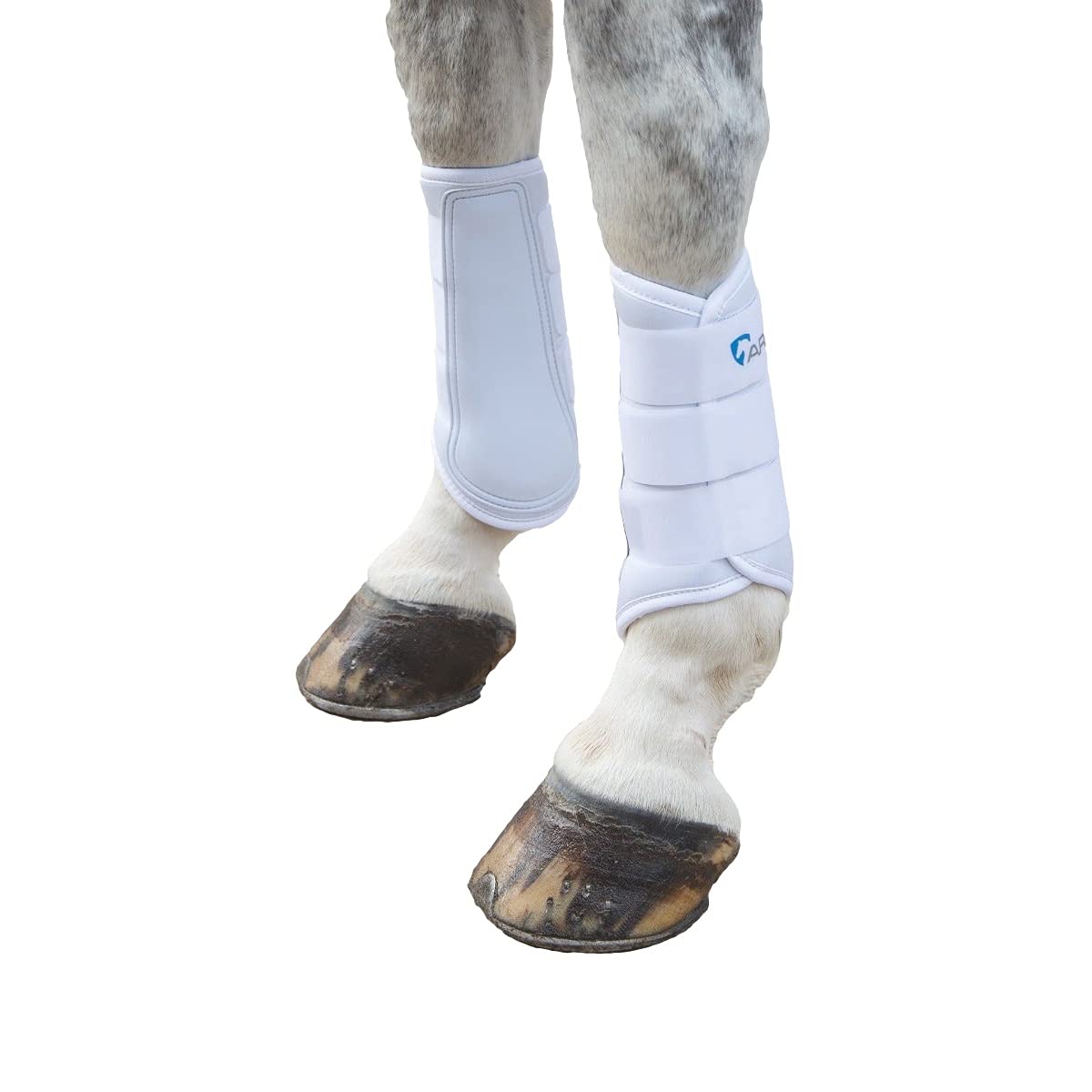 ARMA - Brushing Boots for Horses (COB Large) (White), white, Cob large