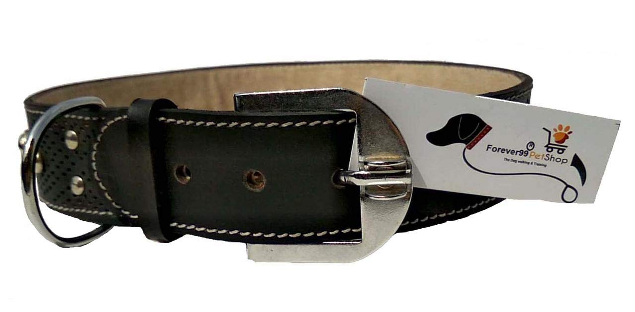 Forever99 Pet Shop pure Leather Dog Collar Black with Padded, XXL-22 to 26 INCH (B07XDXD62J) Amazon Price History, Amazon Price Tracker