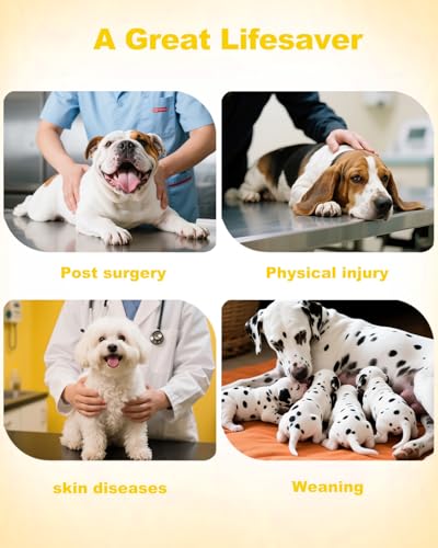 Image of CuteBone Sunflower Pet Surgery Recovery Suit for Medium Dogs Cats, Surgical Onesie for Female Pets, Anti-Licking Wound Suit E-Collar Alternative Post Operative Wear SSF13L