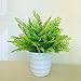 Produktbild Künstliche Sträucher/SFTlite 6 Bündel Künstliche Pflanzen Fern Leaves  Grün Künstliche Pflanzen Kunststoff Stäucher Kunststoff Pflanzen Fern für Küche Garten Badezimmer und Fensterbank Ornament
