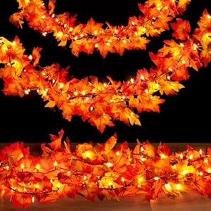 Fall Decorations for Home 9FT Plug in Thanksgiving Lights Lighted Fall Garland 50 Bulbs Maple Leaves Lights Connectable Fall Lights for Indoor Outdoor Halloween Thanksgiving Holidays Decor2 Pack