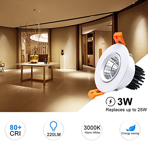 Inshareplus 2 Inch Led Downlight, 3W Recessed Lighting Cob Dimmable, 3000K Warm White, Cri80, Led Ceiling Lights With Led Driver, 12 Pack #TOP1