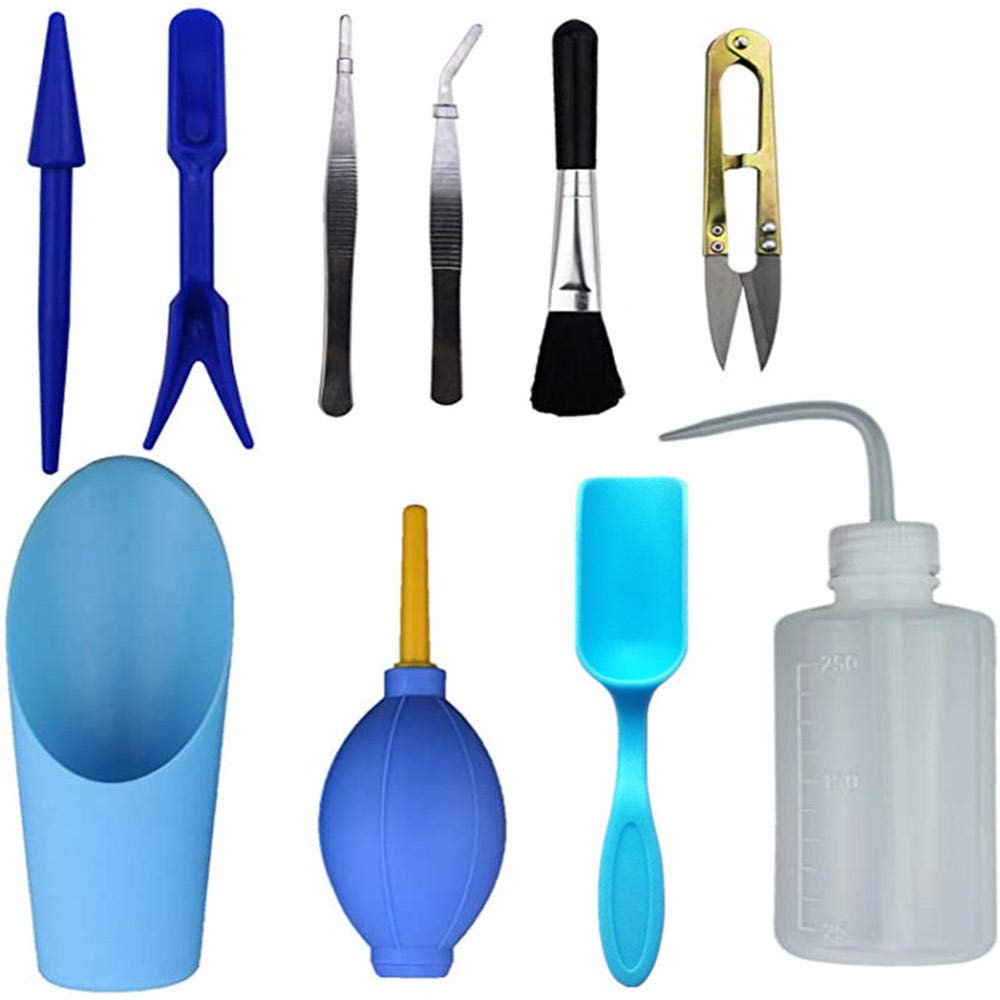 Juego de combinación de Herramientas para Plantar suculentas Jardinería de Flores Mini Suministros de jardinería Herramientas suculentas en Maceta carnosa-Rosa (Azul)