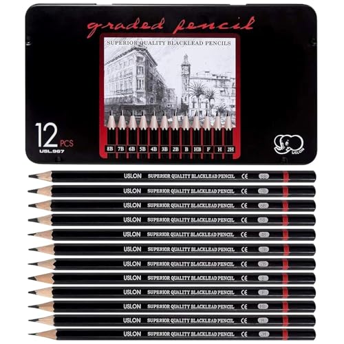 Image of Pieces Professional Drawing Pencils and Sketch Kit for Artist (12)