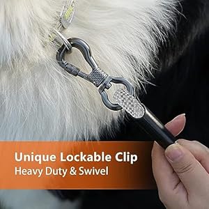 Ntr Dog Training Leash 10ft Check Cord Rope Lead with 2 Swivel Hooks Reflective Threads and Soft Rubber Handle Puppy Leash for Walking Hunting Camping for Small Medium Large Dogsgrey  Cucciolini Doodles Ntr dog training leash 10ft check cord rope lead with 2 swivel hooks reflective threads and soft rubber handle puppy leash for walking hunting camping for small medium large dogs grey   cucciolini doodles