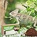 Halatool 8 Pack Compressed Coconut Fiber Substrate for Reptile, 100% Organic Premium Coconut Husk Substrate Terrarium Bedding for Tortoises Beard Dragon Leopard Gecko Snake Tarantula Worm Bins