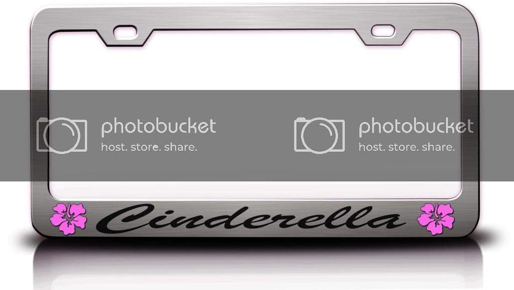 Cinderella Female Name Hibiscus Metal Car SUV Truck License Plate Frame Ch n58