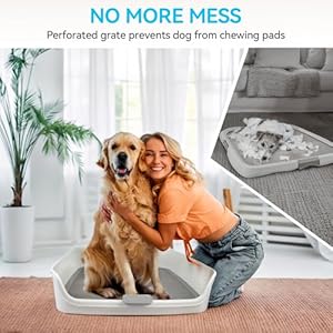 ALL FOR PAWS Dog Potty Tray Indoor Dog Pee Pad Holder Dog Toilet Puppy Litter Box with Removable Post, Raised Sides, Large Space, Shed Proof & Mess Free,Easy Clean-up, Great for Large Size Dogs ALL FOR PAWS Dog Potty Tray Indoor Dog Pee Pad Holder Dog Toilet Puppy Litter Box with Removable Post Raised Sides Large Space Shed Proof Mess FreeEasy Clean up Great for Large Size Dogs